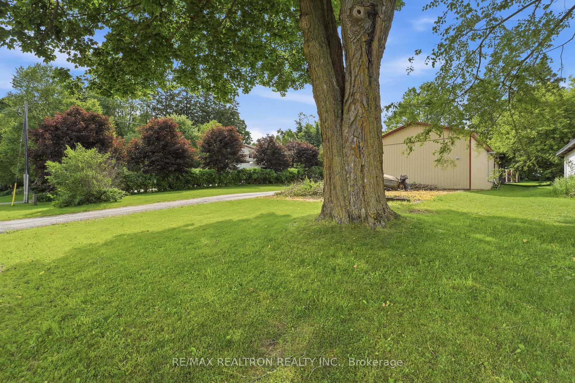 Large front yard