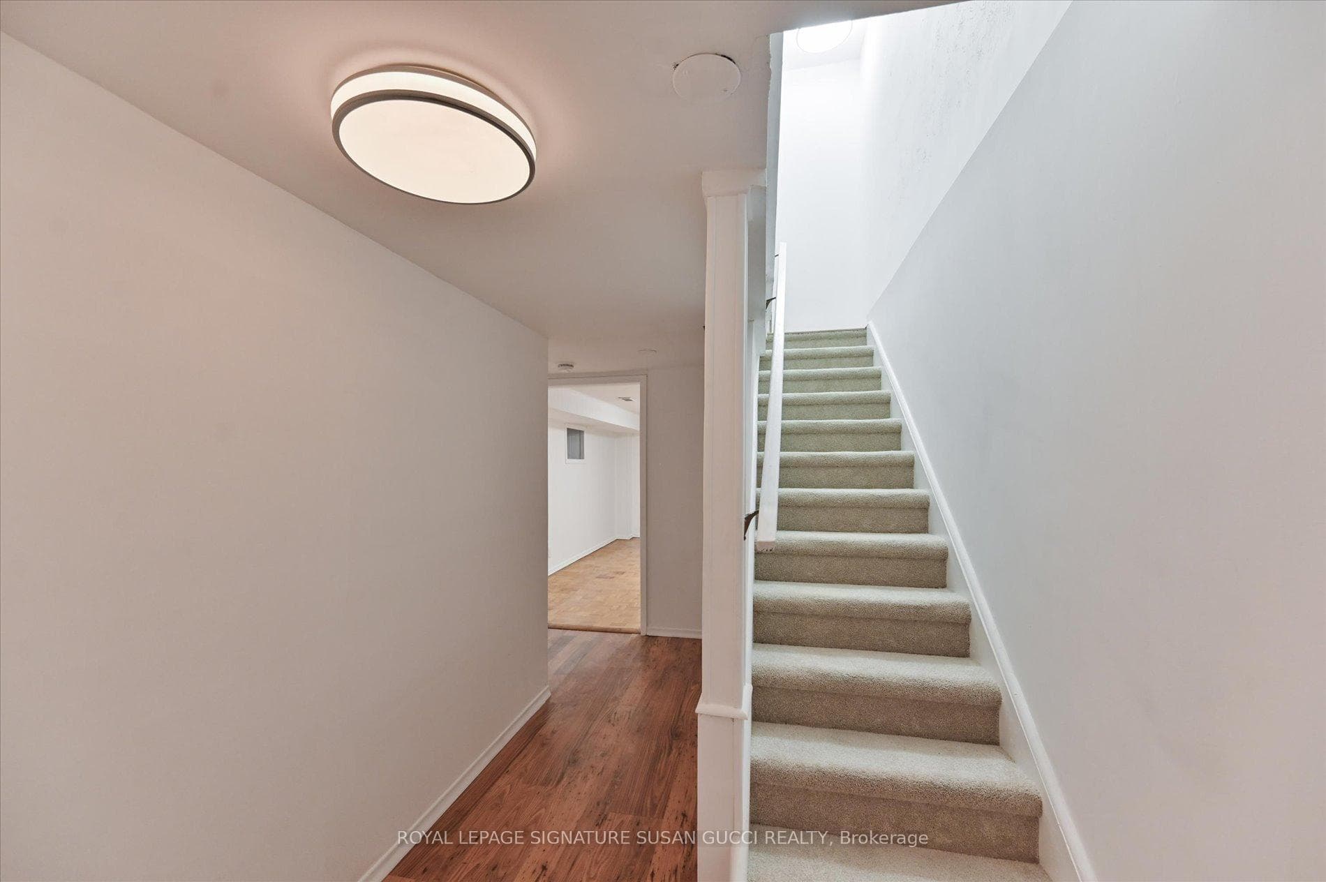 Basement level