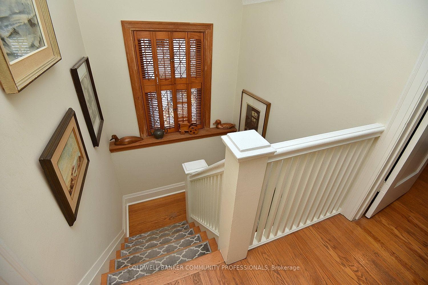 9 Rowanwood Avenue photo 19