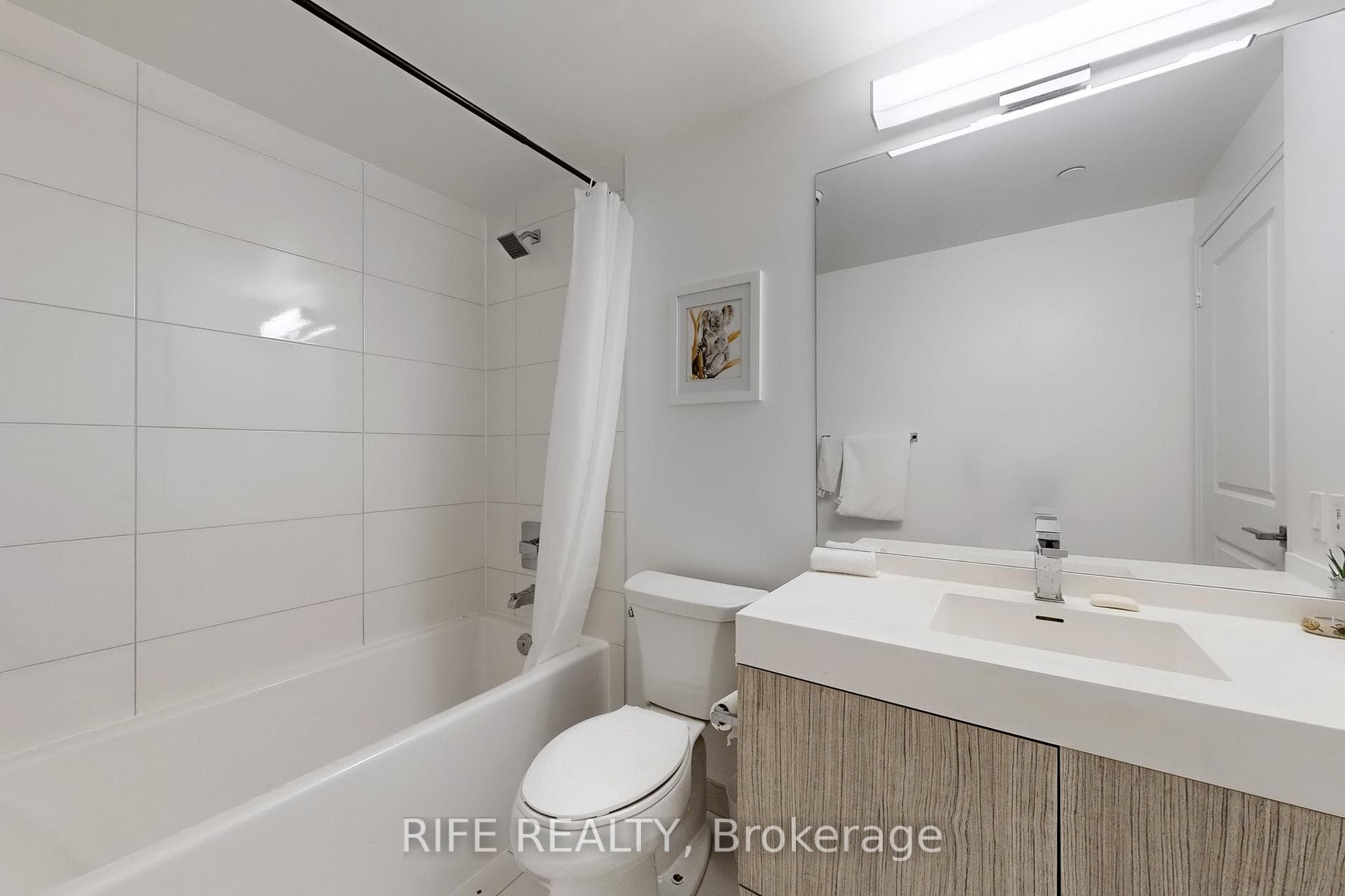 251 Jarvis Street Unit 1029 photo 13