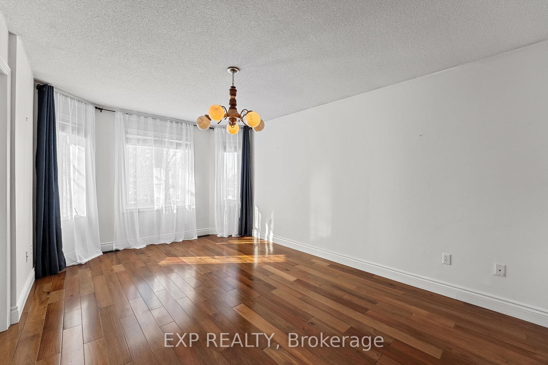 34 Hollis Crescent photo 29