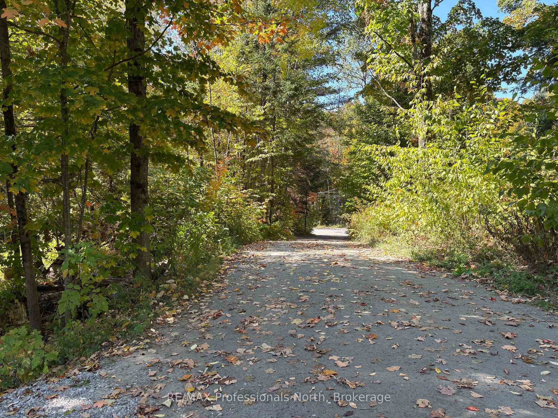 LANE WAY IN