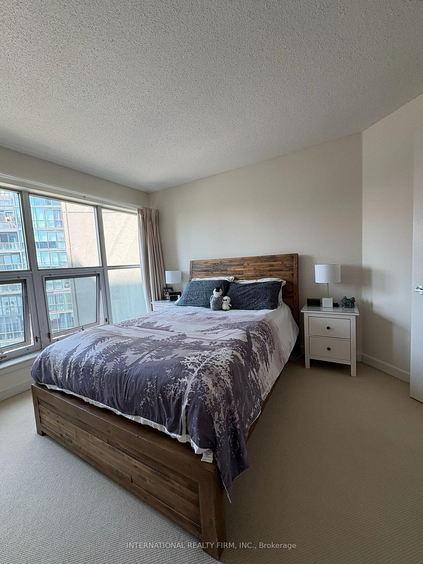 36 Blue Jays Way Unit 1132 photo 17