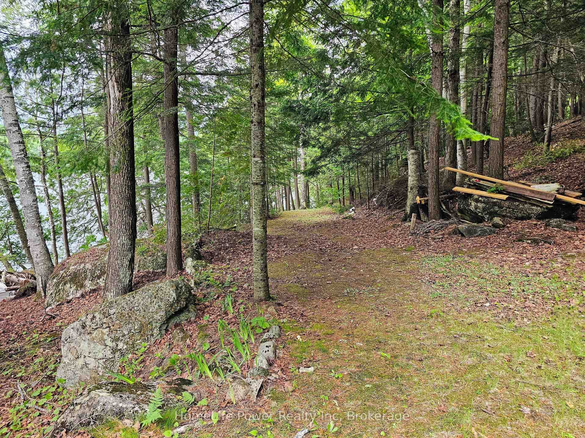 1021 Chalmers Lane photo 7