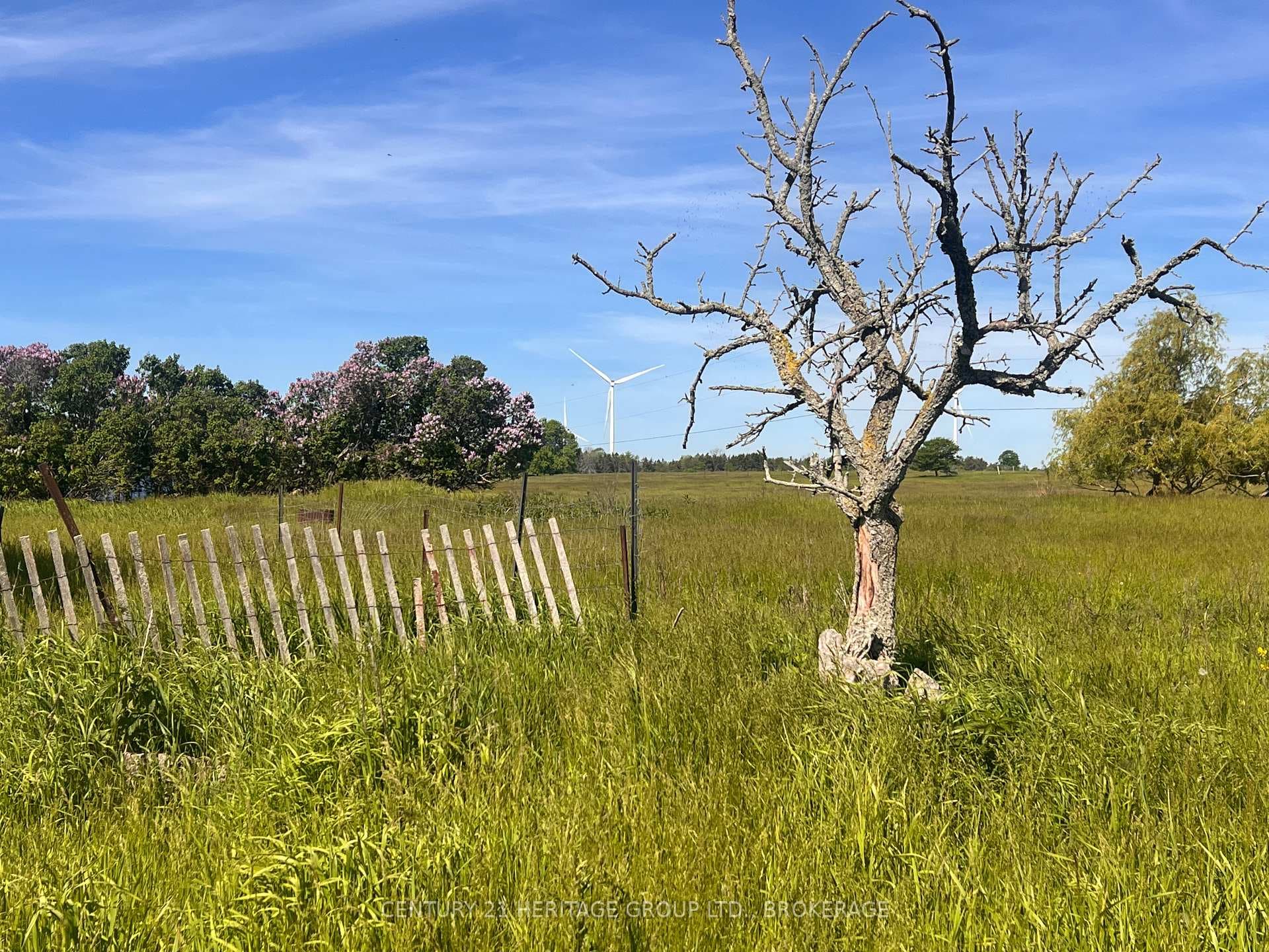 LOT 17 SOUTH SHORE Road photo 6