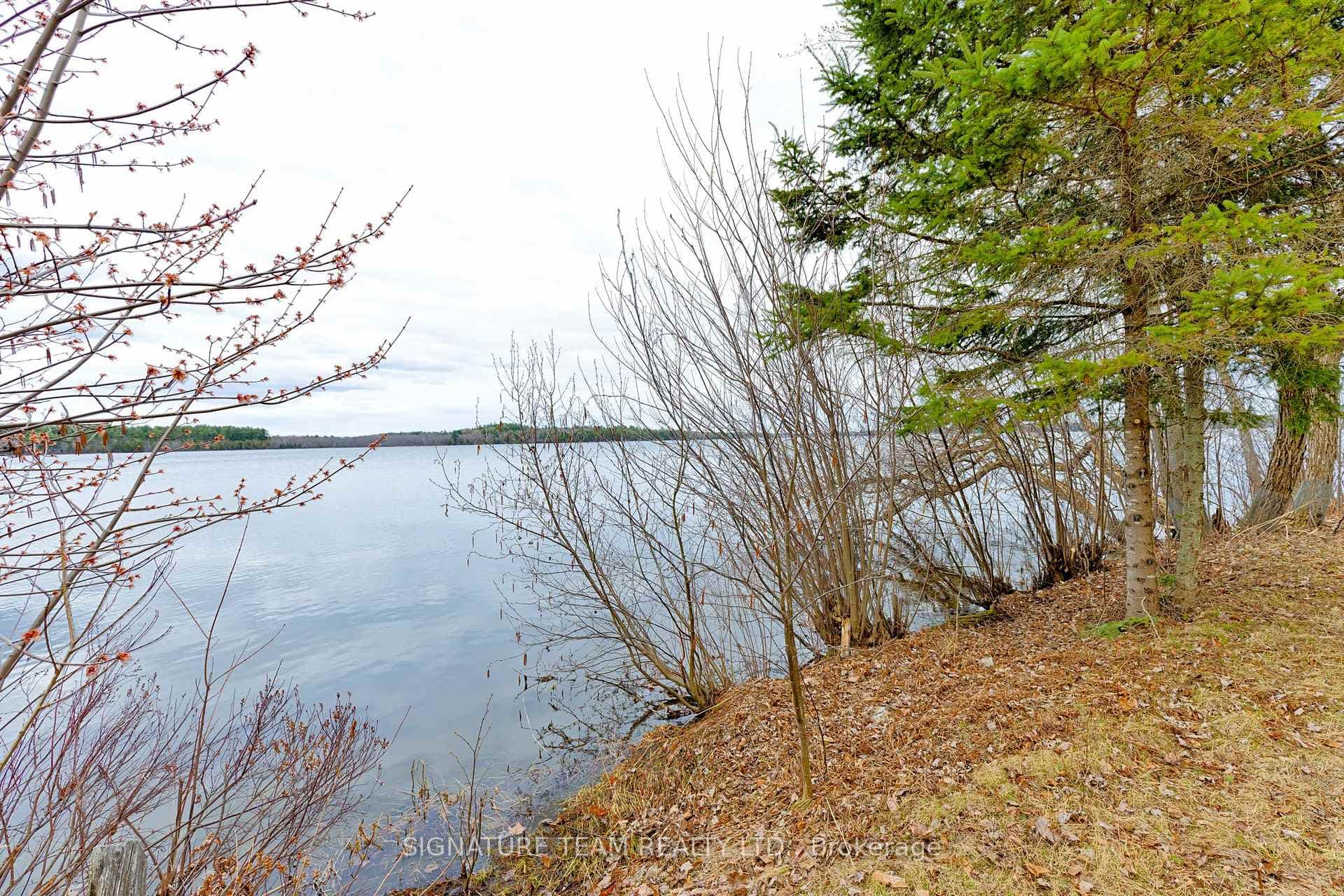 7B Bunchberry Lane photo 16