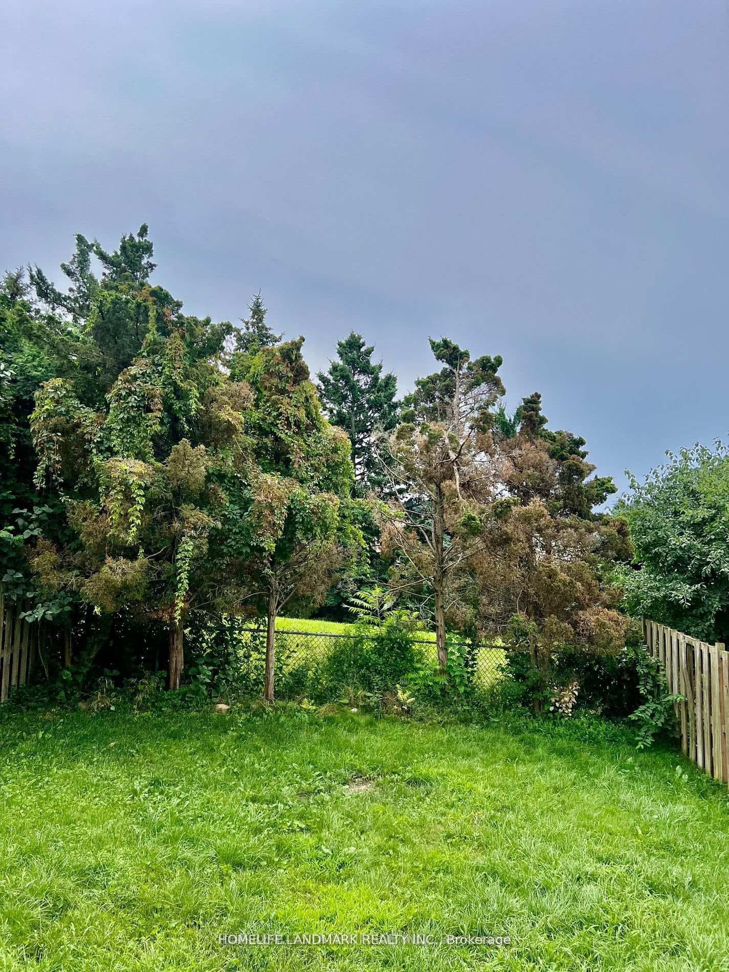 59 Kirby Crescent photo 17