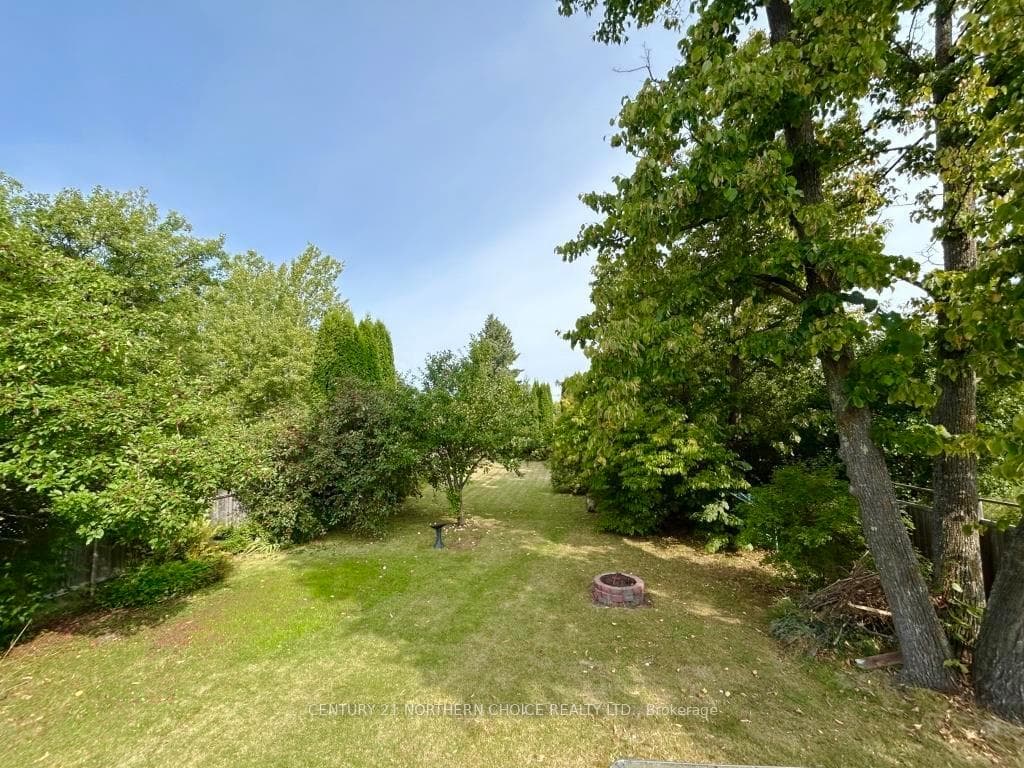 1232 Emo Road photo 3