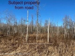 PT LT 170 Road 2 Concession photo 8