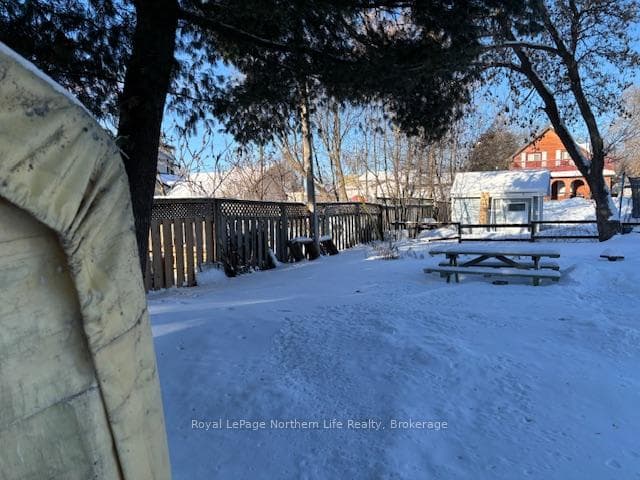 975 McIntyre Street photo 42