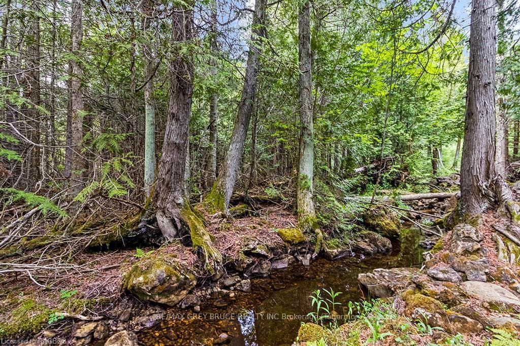 LOT 53 SPRY SHORE Road photo 29