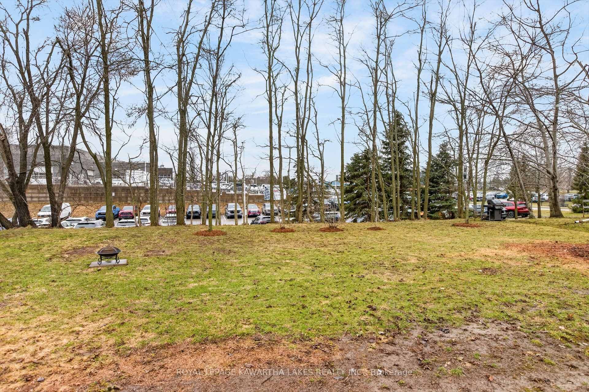 133 Elgin Street photo 44