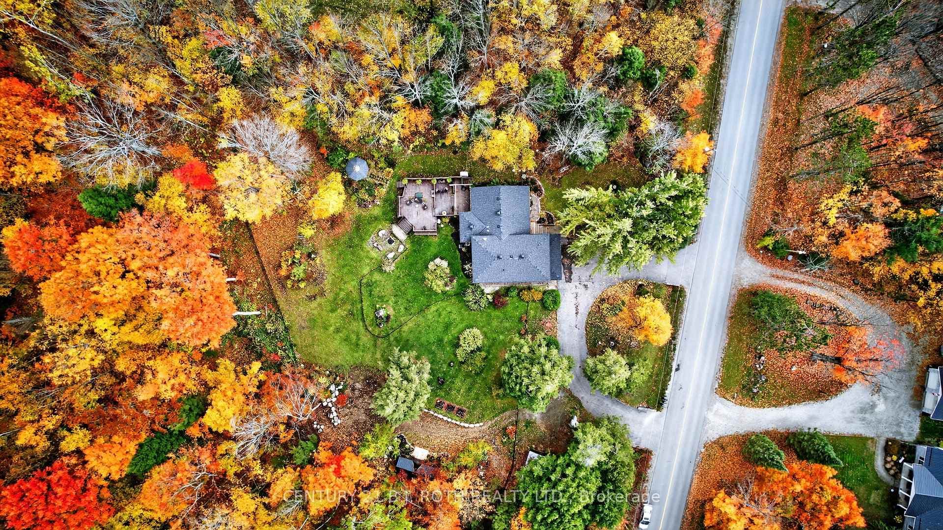 Circular Driveway + Road View