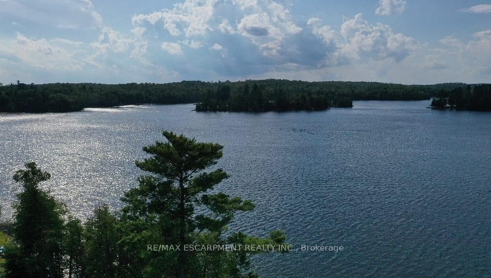 372 Gunter Lake Road photo 4
