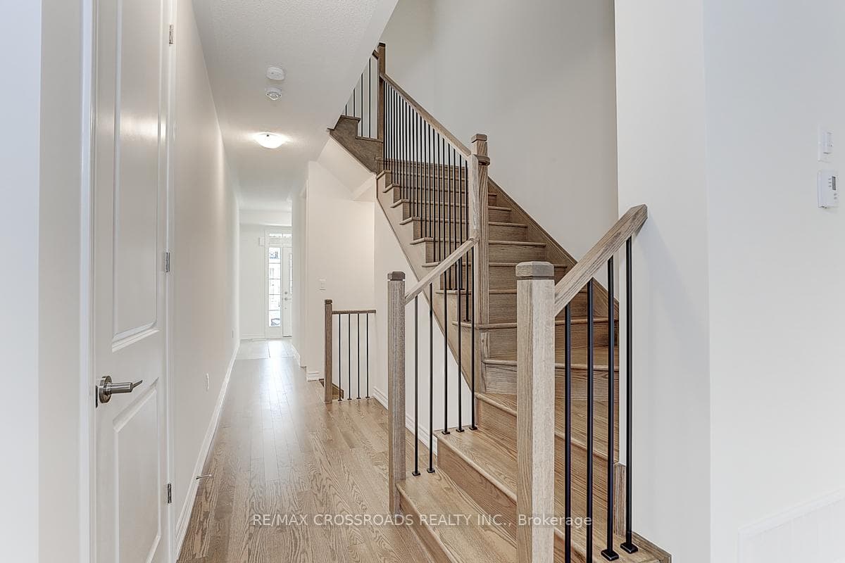 53 Velvet Drive photo 5