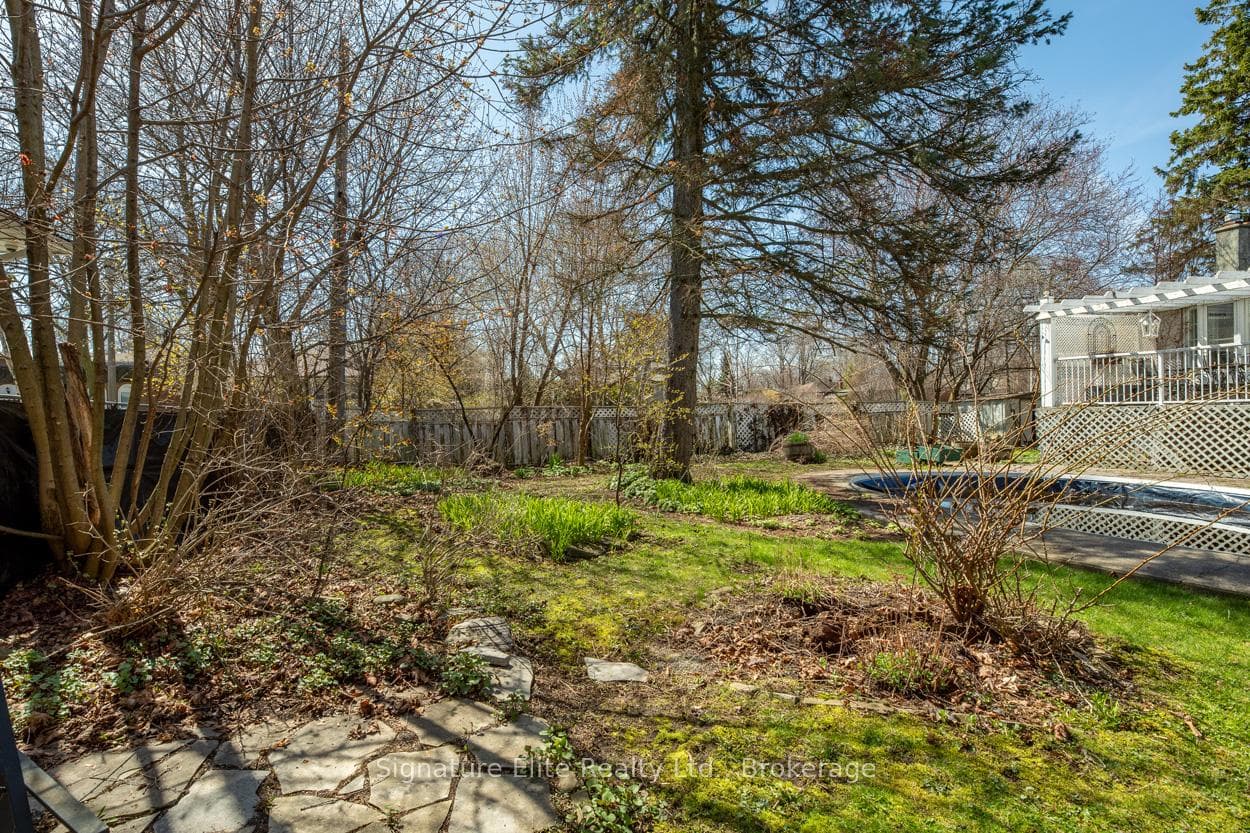115 Toynbee Trail photo 33