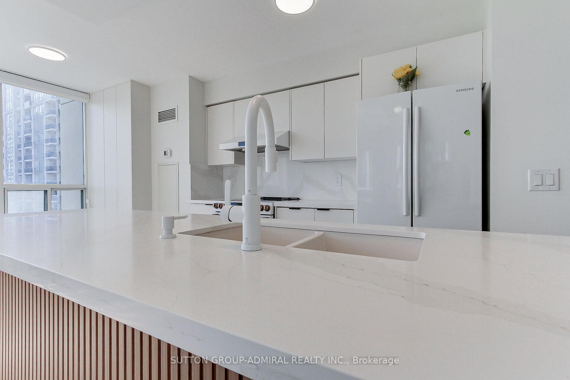 50 DISERA Drive Unit 905 photo 10