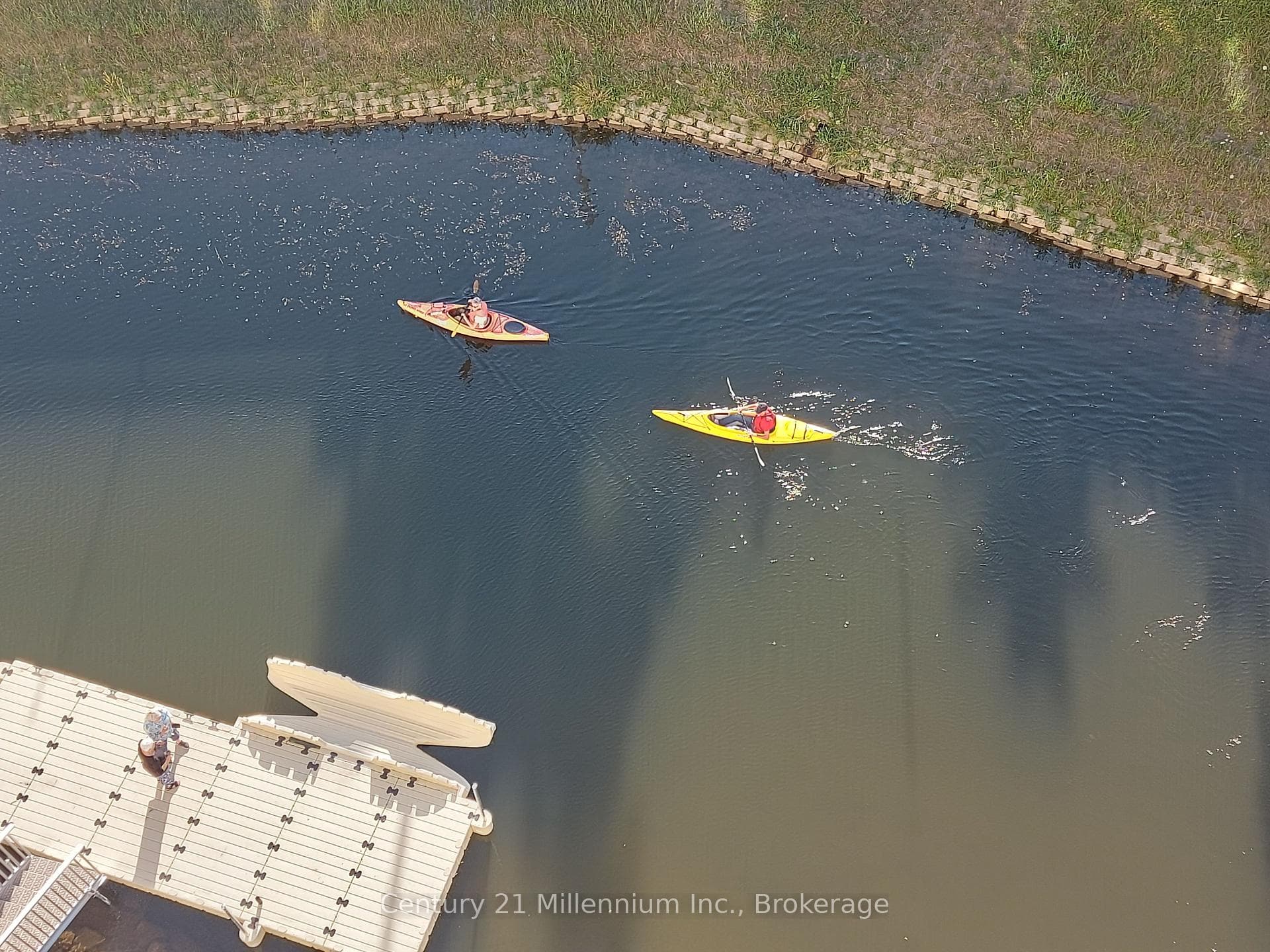 Sydenham river great for kayaks and canoes!