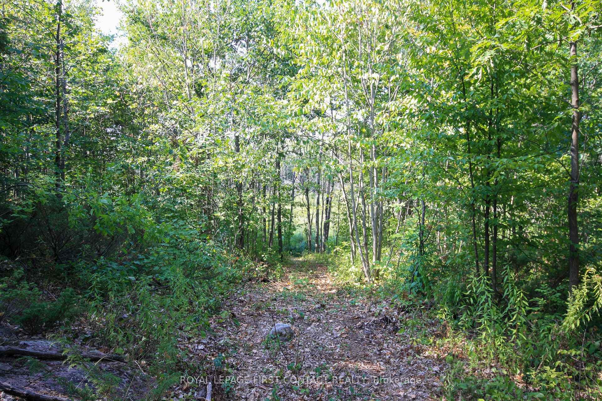 213 Birch Acres Drive photo 31