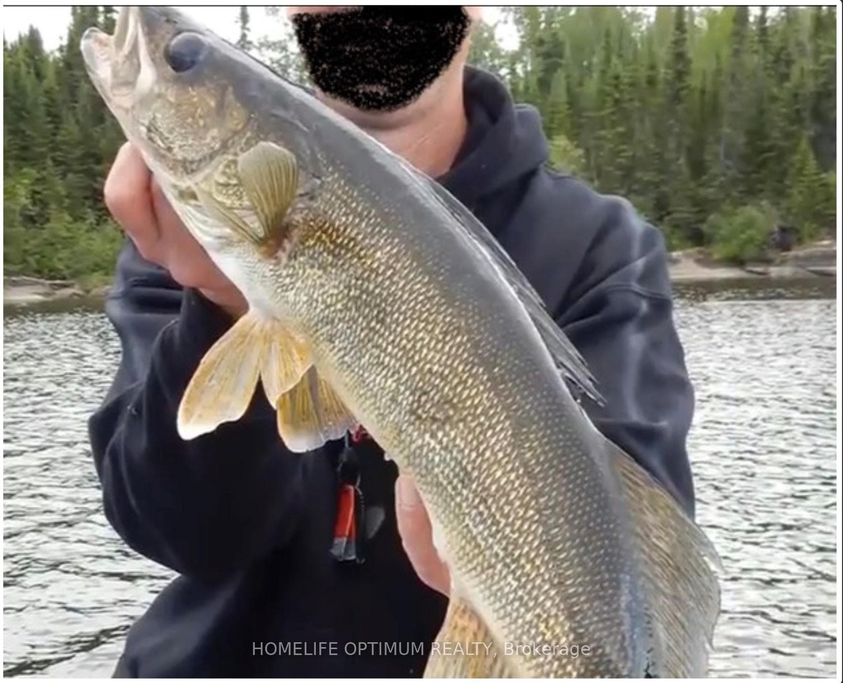 File 229 North Spirit Lake N/A photo 9