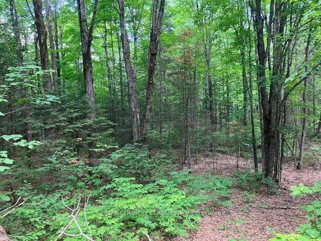 6732 County Road 620 N/A photo 12