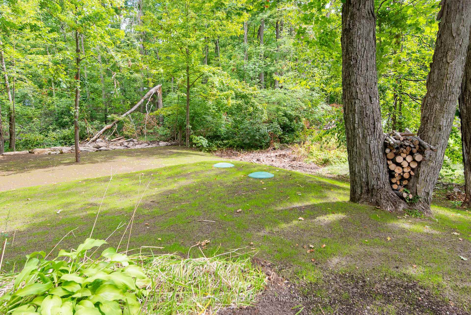 130 Driftwood Village Drive photo 20