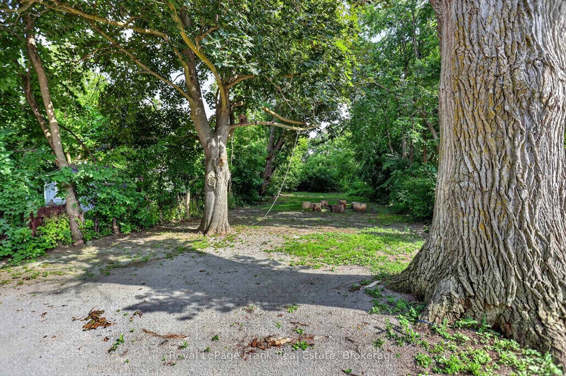 121 Romaine Street photo 45