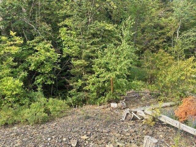 WEST BOUNDARY MARKER SHORE