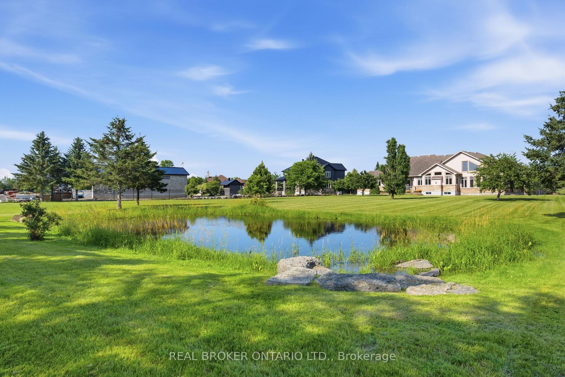 Backyard and pond