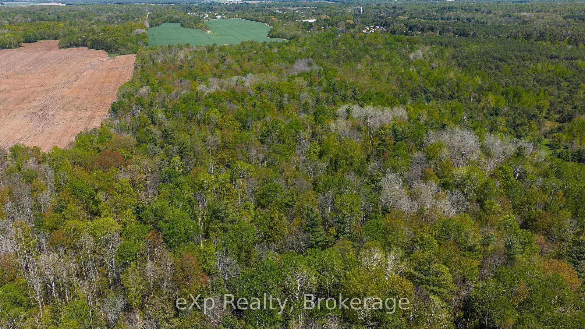 5716 County Road 9 N/A photo 29