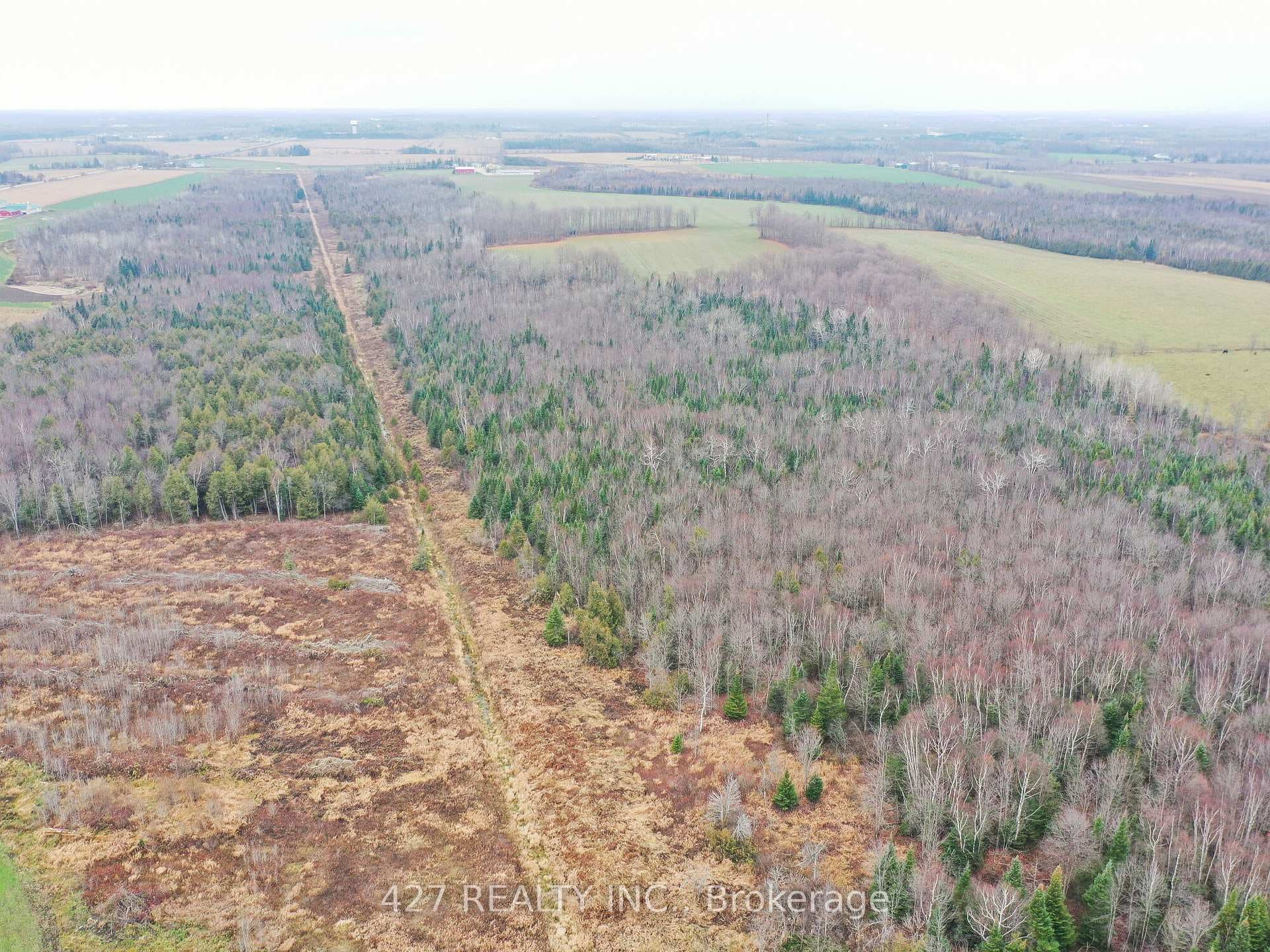239050 Dufferin Country Road photo 34