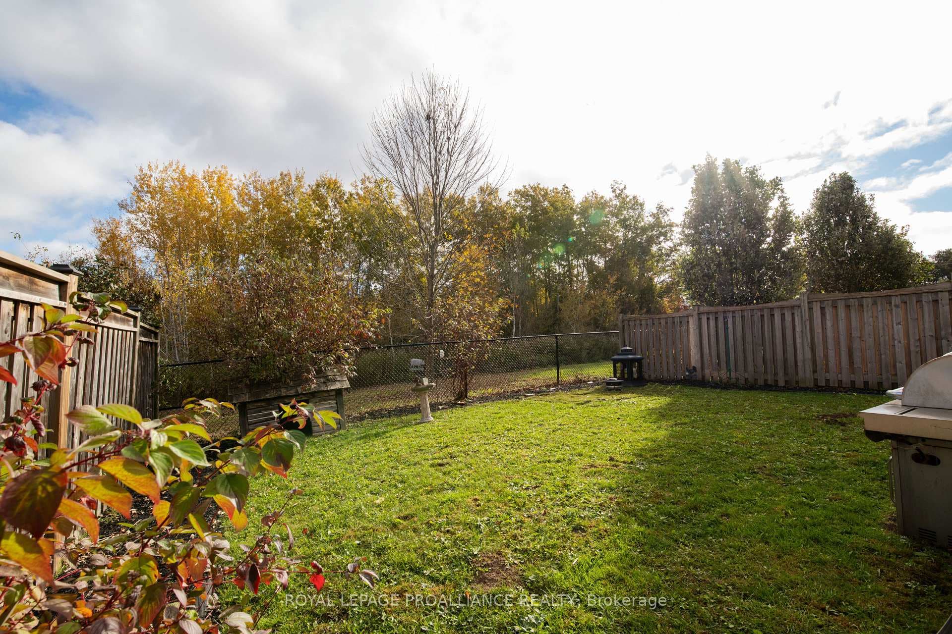 43 Vivian Drive photo 27