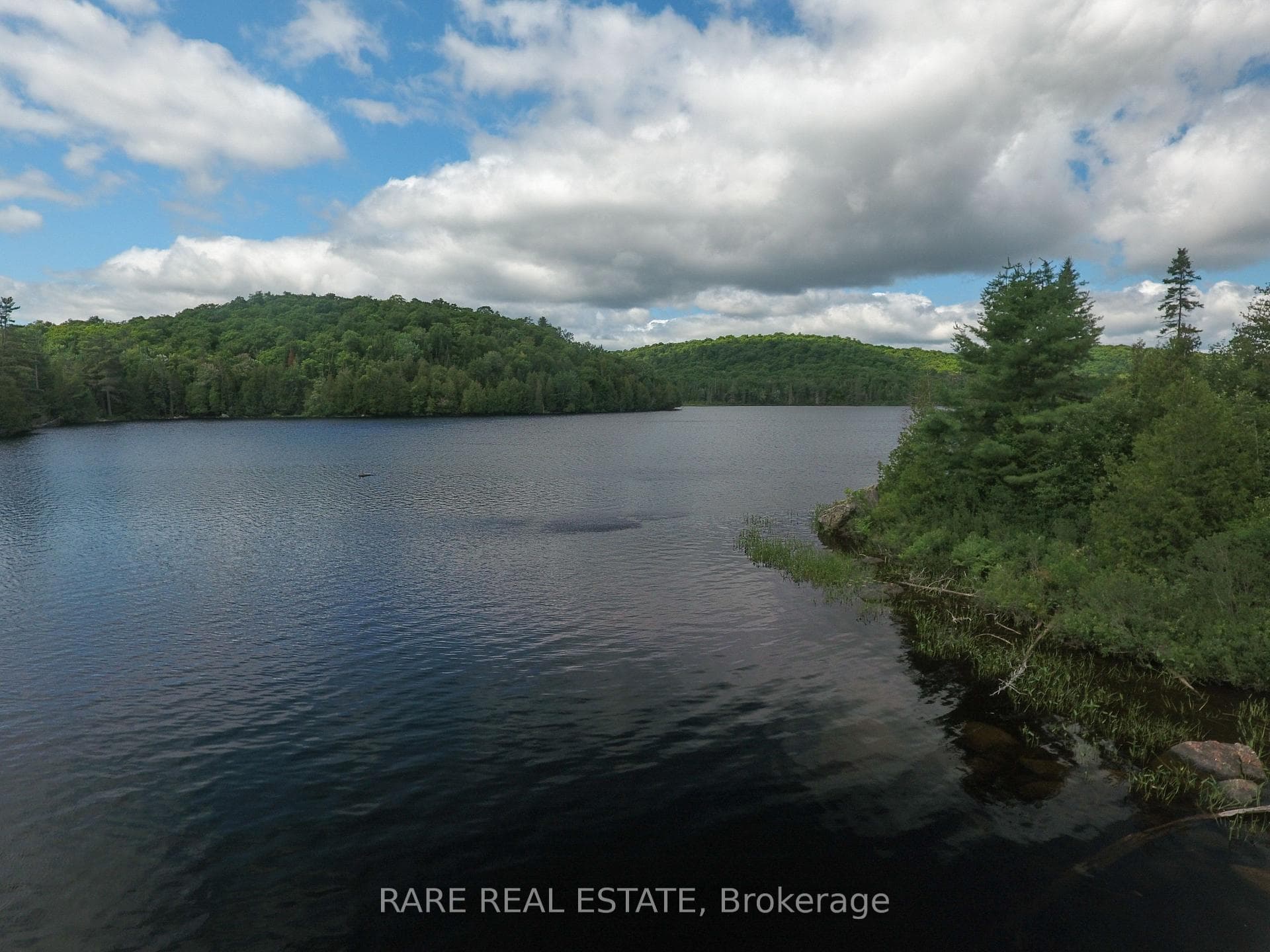 139D Petit Lane photo 45