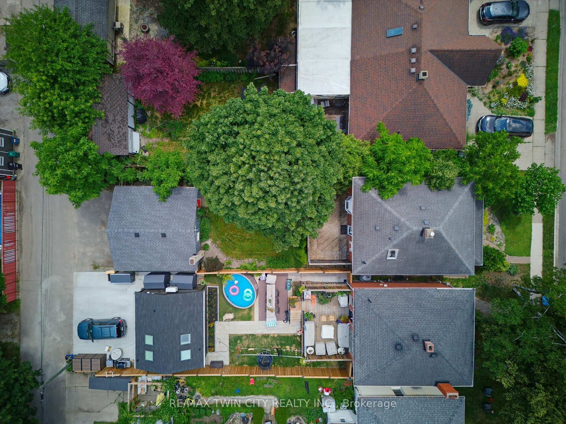 85 Barrie Street photo 31