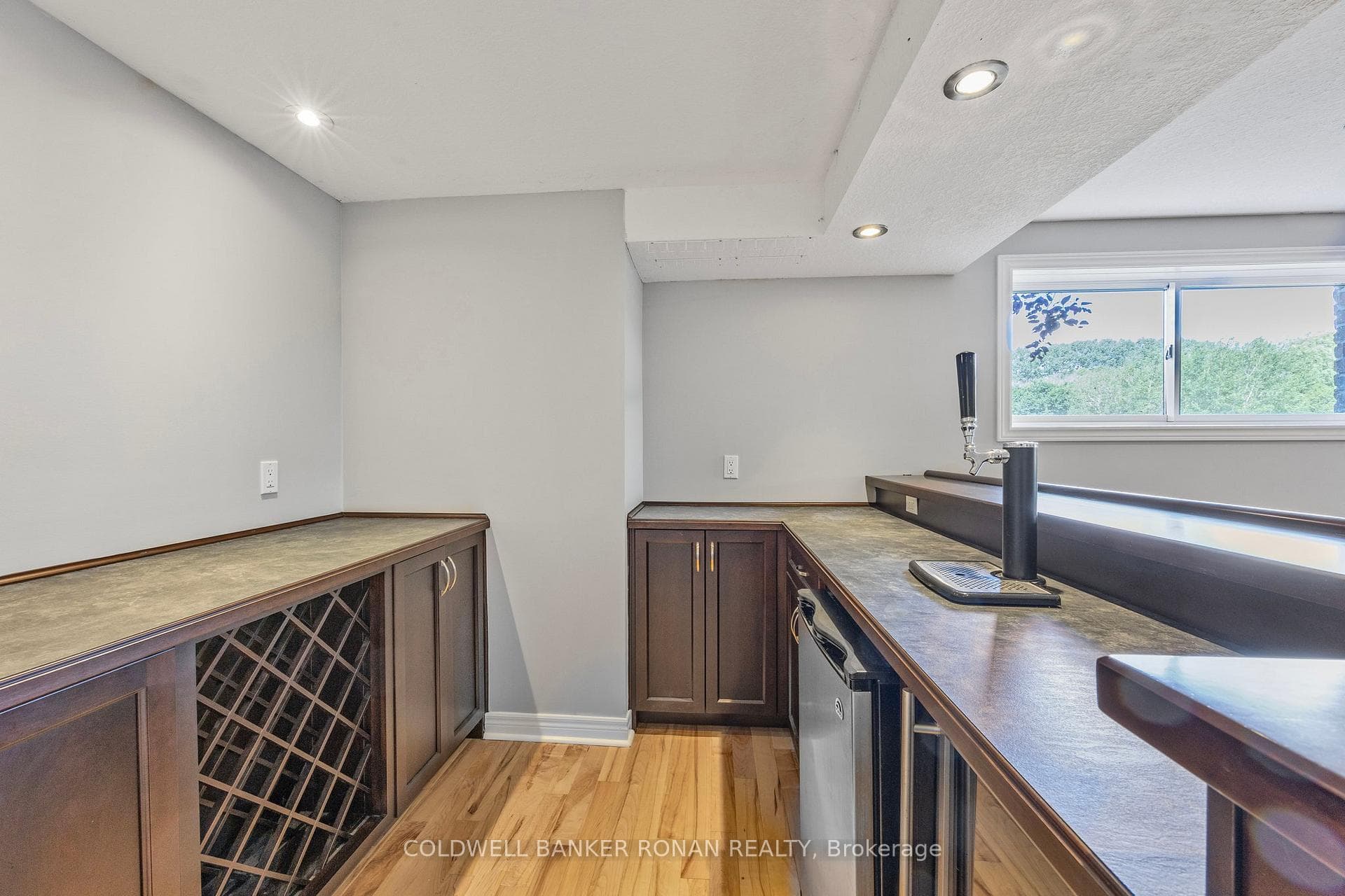 Lower Level Bar
