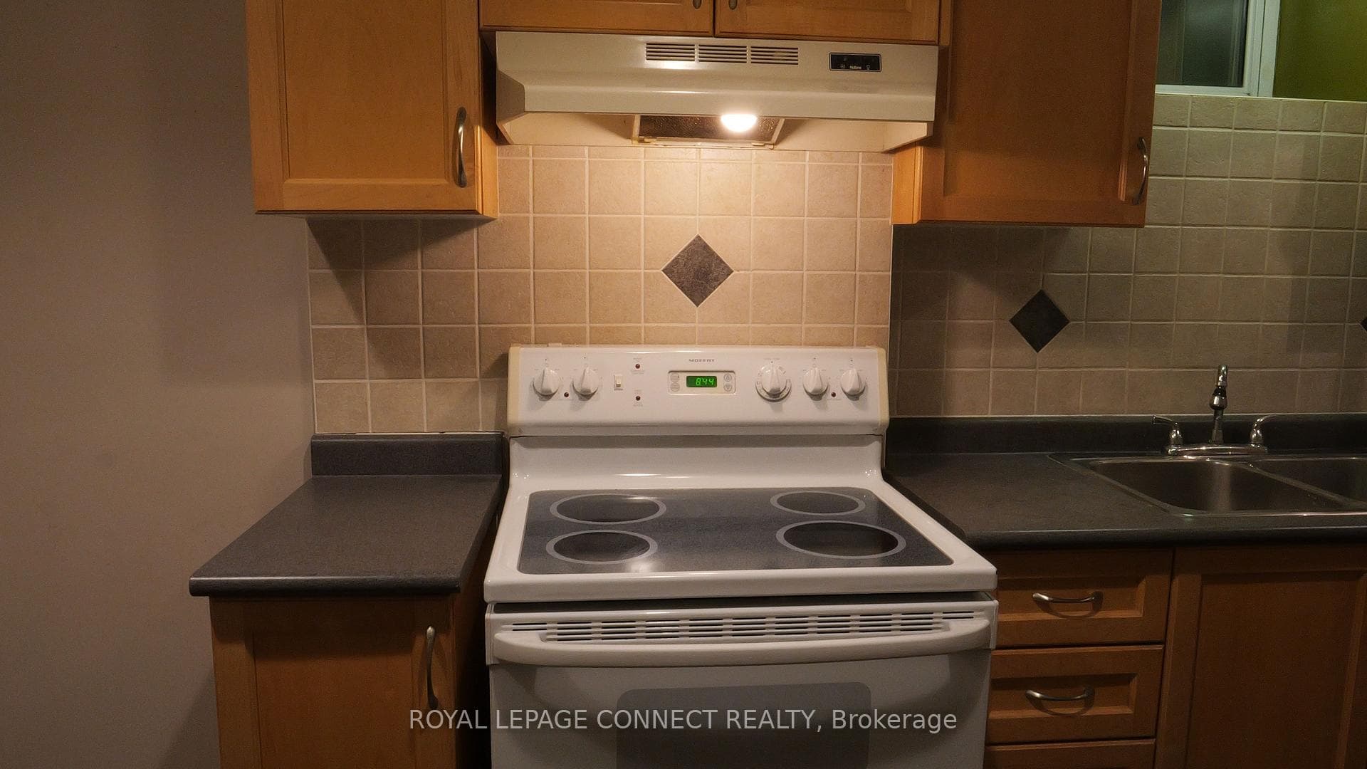 302 Springdale Boulevard Unit Bsmt photo 4