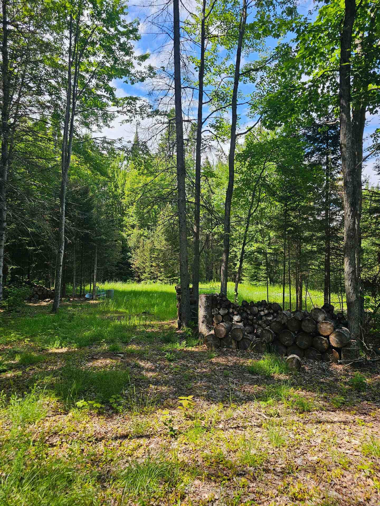 4369 Highway 534 N/A photo 18