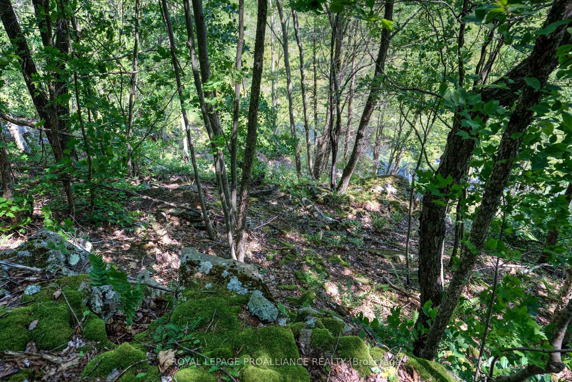 PTLT3 McConville Lane photo 20