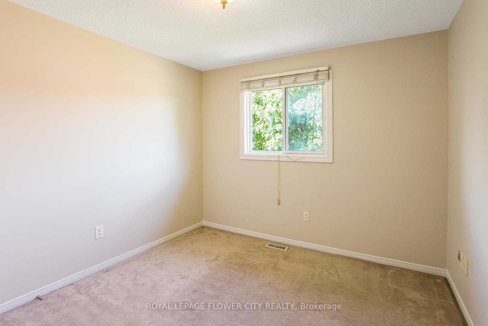 23 Cranberry Crescent photo 21