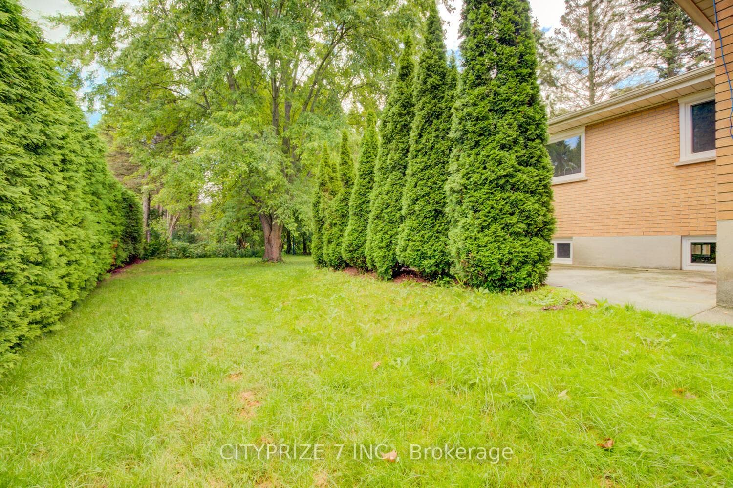 1382 Webster Street photo 29