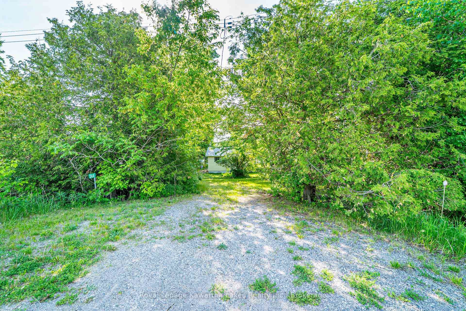 244 O'Reilly Lane photo 34
