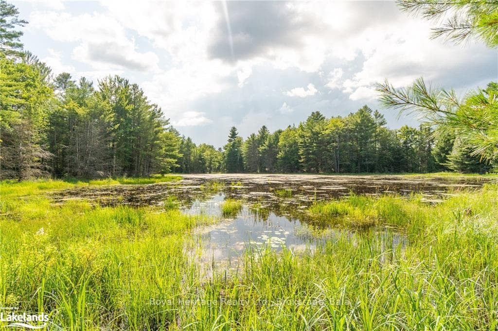 1186 SAM COOK Road photo 29