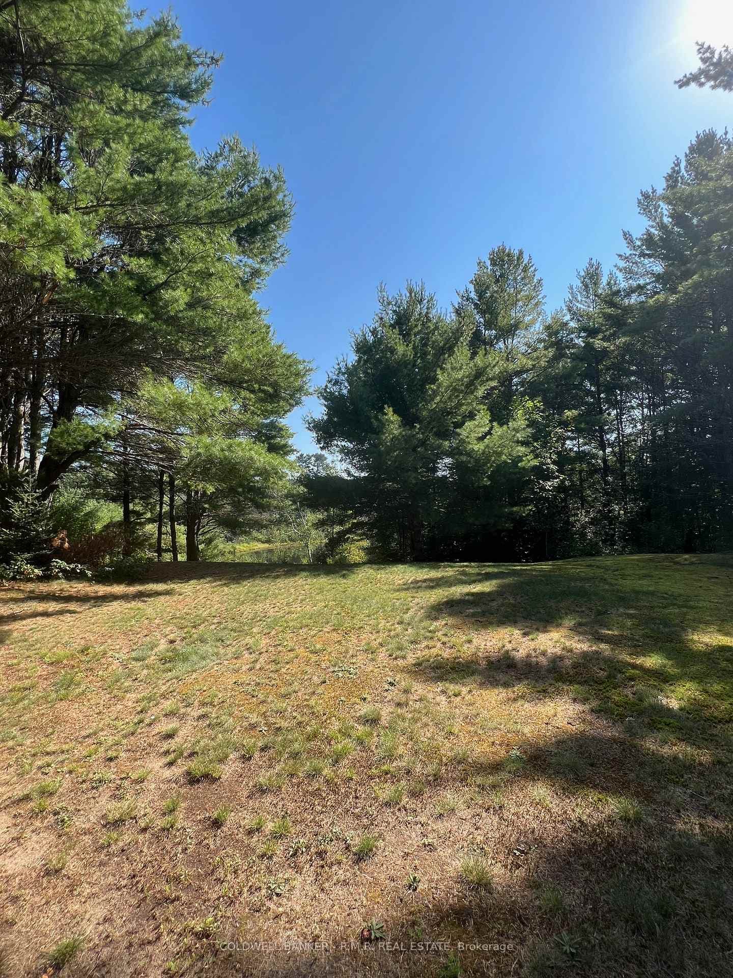 1371 Howland Junction Road photo 11