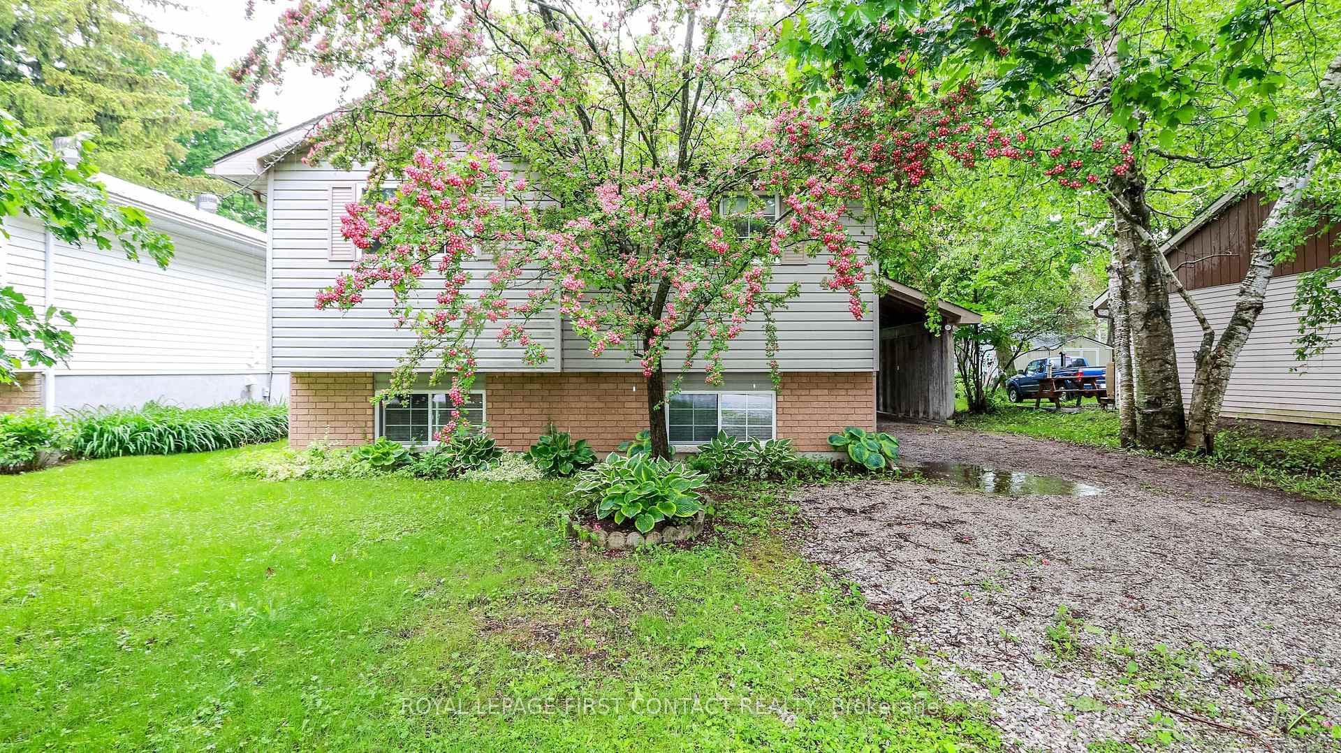 401 Mary Street photo 4