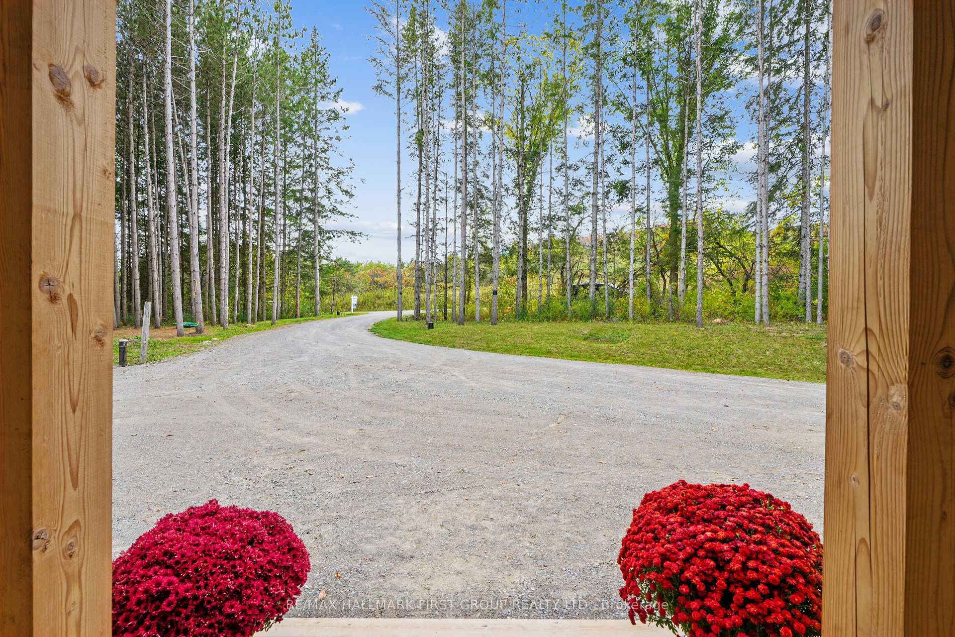 8805 Ball Road photo 2
