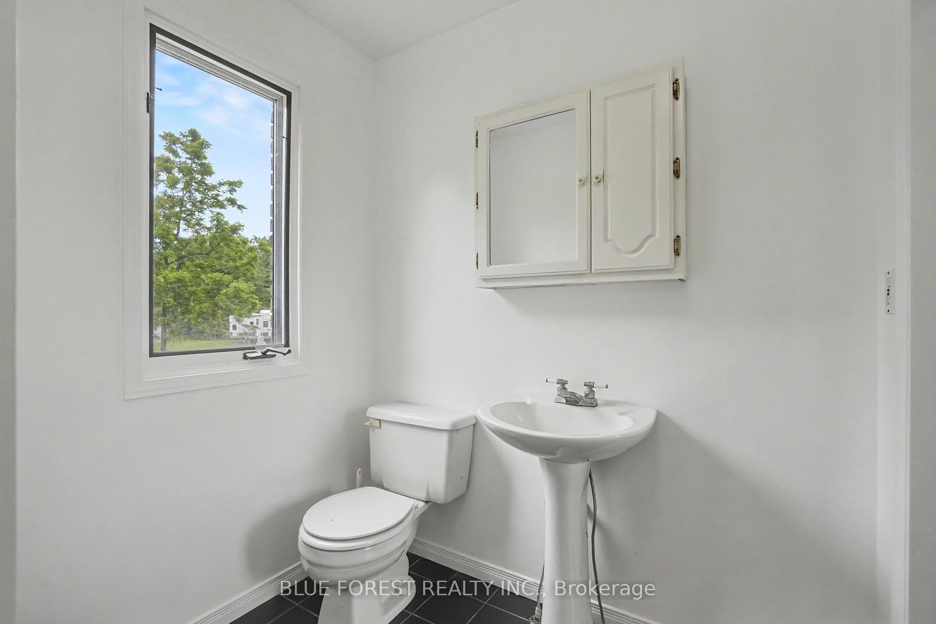 23706 Gray Line photo 24