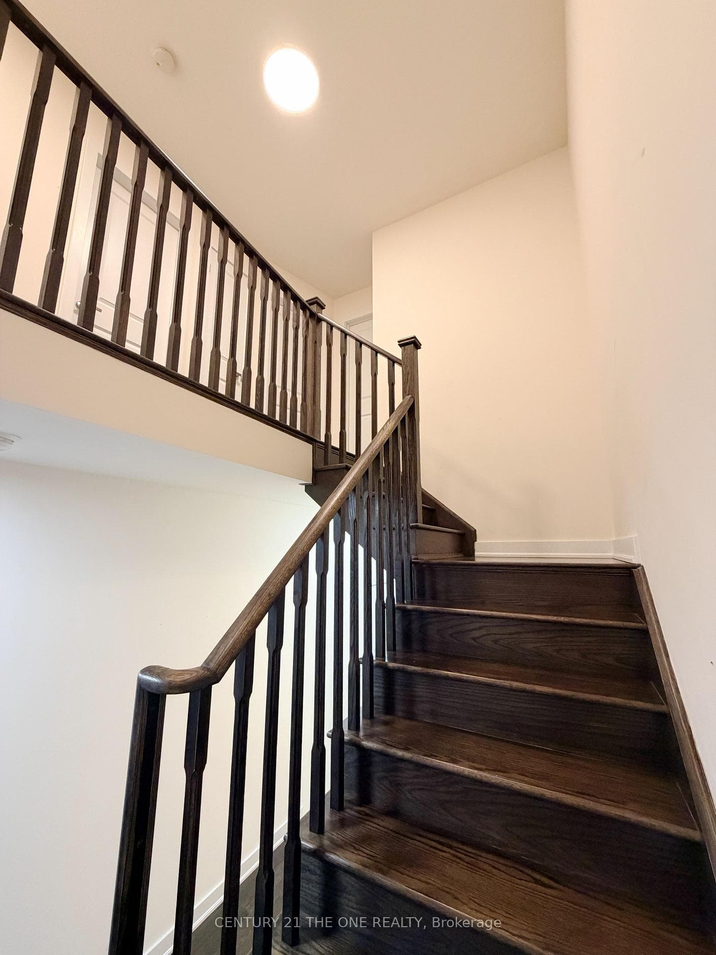 8 Anchusa Drive photo 10