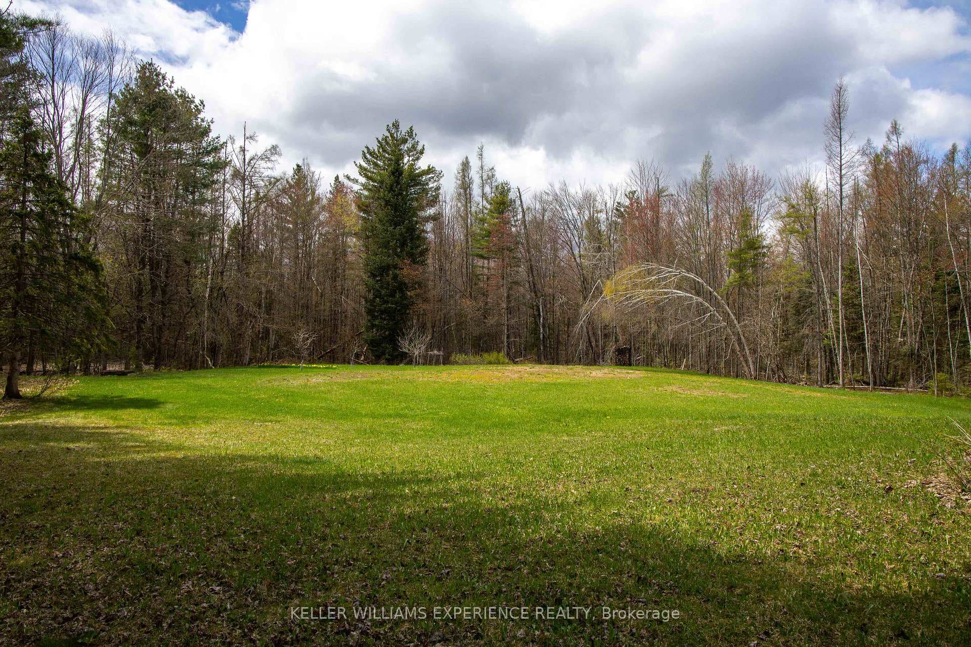7390 Sadowa Road photo 20