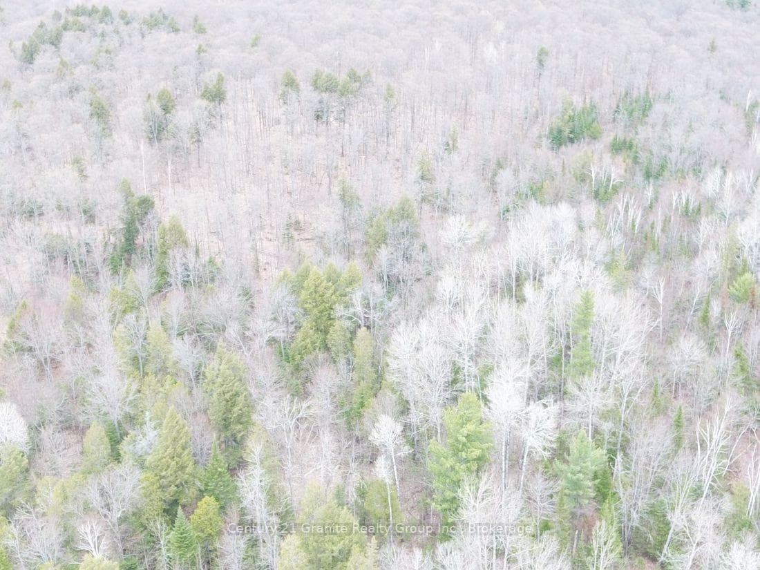 2057 MADAWASKA Road photo 20