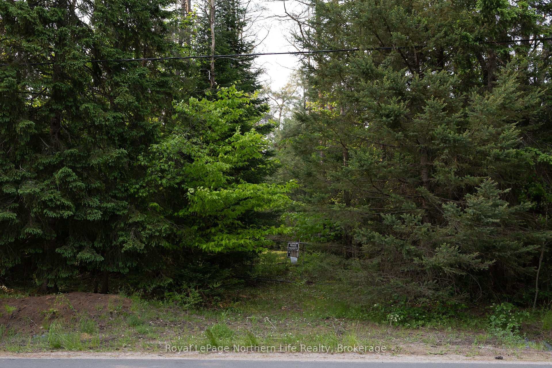 316 Mary Lake Road photo 8